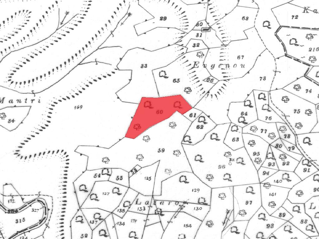 Field-Vavatsinia-PR42026