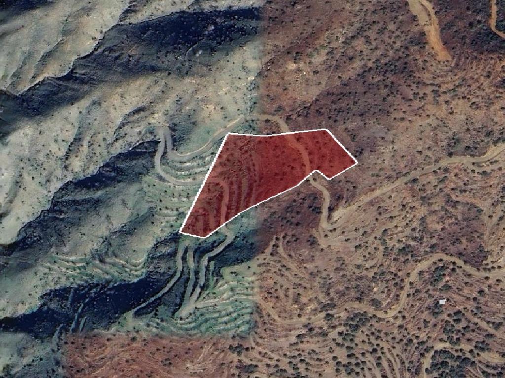 Field-Vavatsinia-PR42026