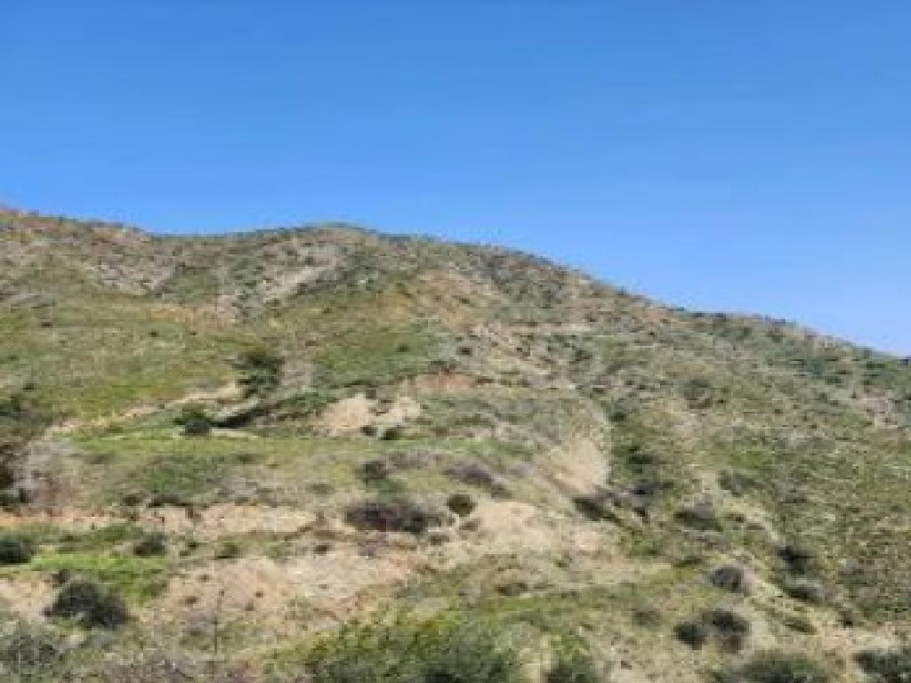 Field-Vavatsinia-PR42026