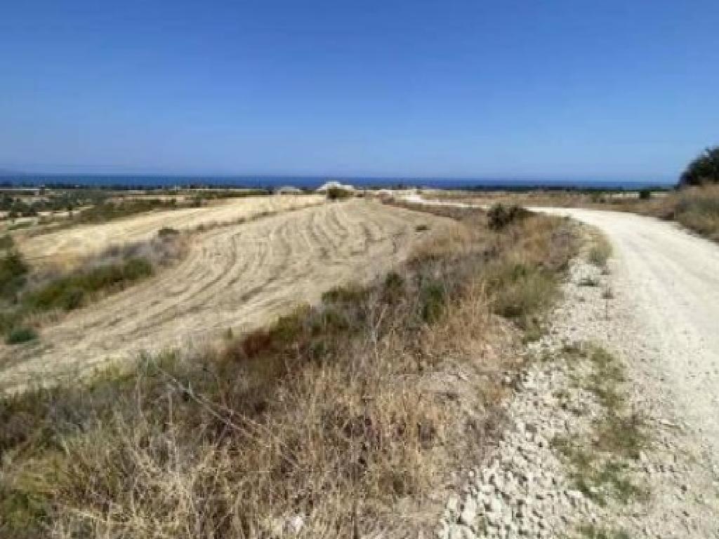 Field-Polis Chrysochous-PR42253
