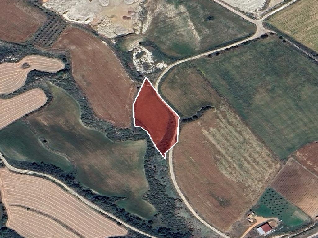 Field-Polis Chrysochous-PR42253