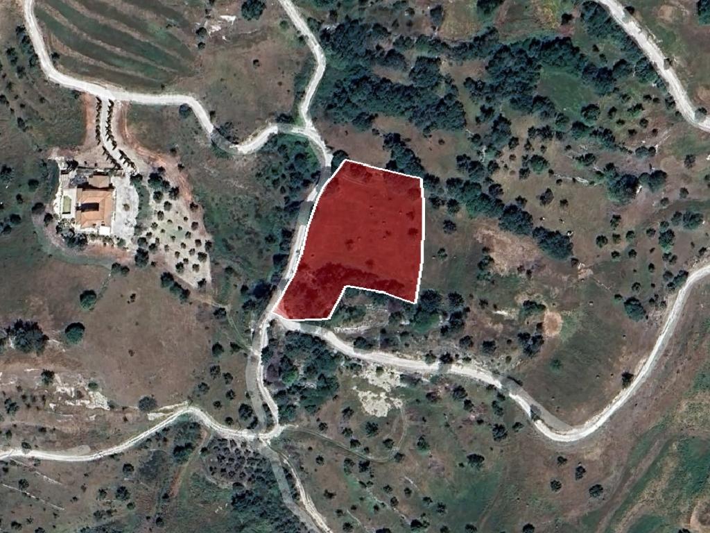 Field-Kynousa-PR42435