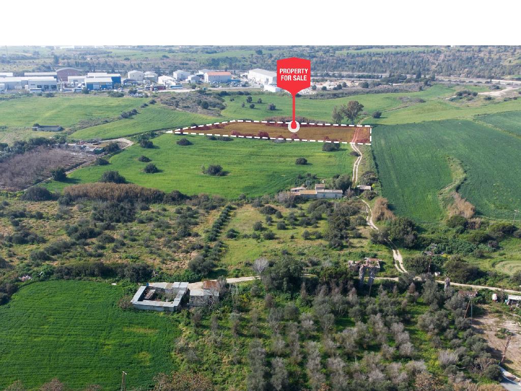 Field  - Ormideia, Larnaca