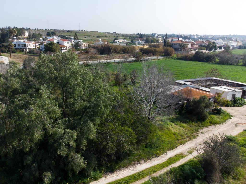 Field  - Ormideia, Larnaca