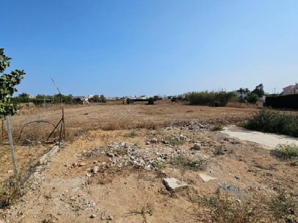 Field (Share) - Deryneia, Famagusta