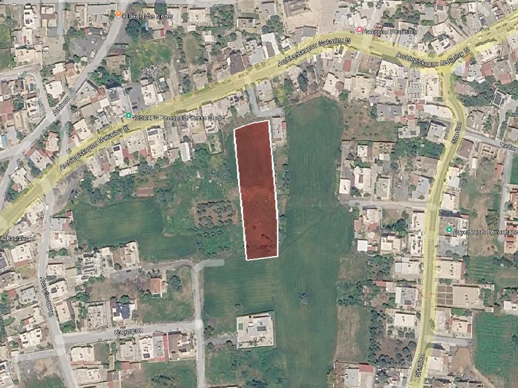 Field (Share) - Deryneia, Famagusta
