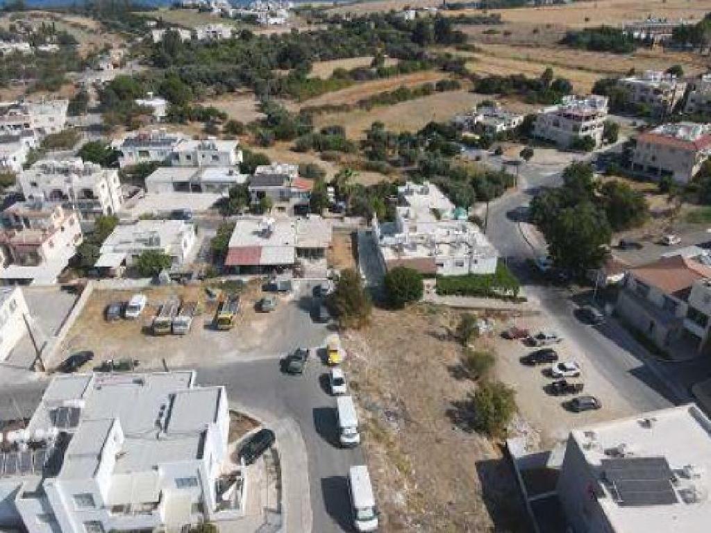 &Kappa;&alpha;&tau;&omicron;&iota;&kappa;ί&alpha; (&Mu;&epsilon;&rho;ί&delta;&iota;&omicron;) - &Pi;ό&lambda;&eta; &Chi;&rho;&upsilon;&sigma;&omicron;&chi;&omicron;ύ&sigmaf;, &Pi;ά&phi;&omicron;&sigmaf;