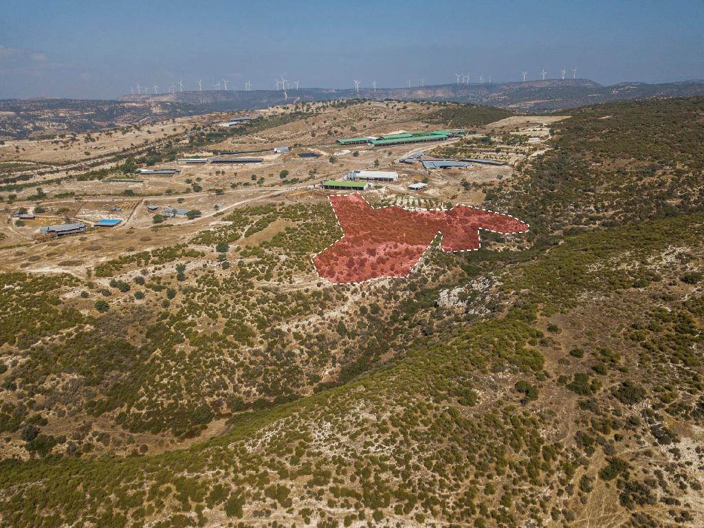 Field - Pissouri, Limassol