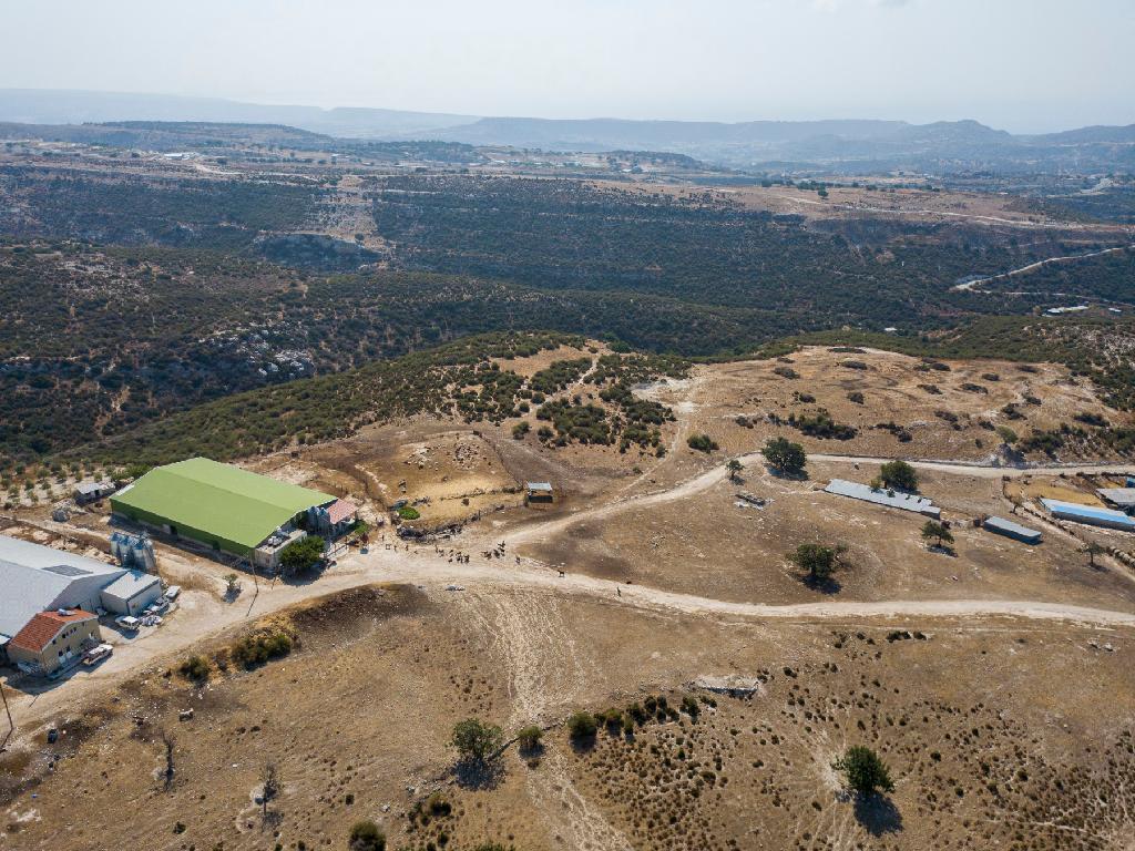 Field - Pissouri, Limassol