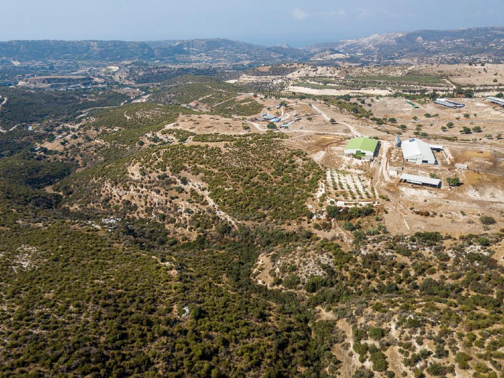 Field - Pissouri, Limassol