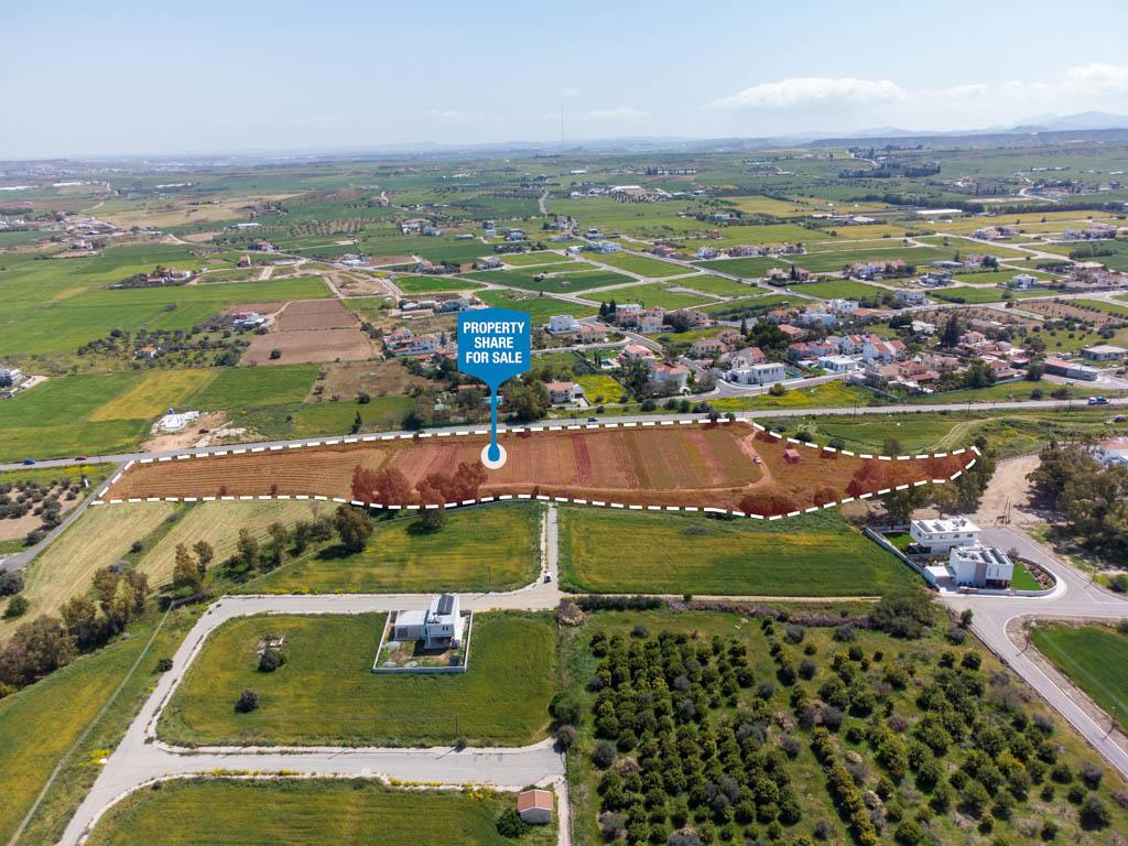 Field-Psimolofou-PR13999