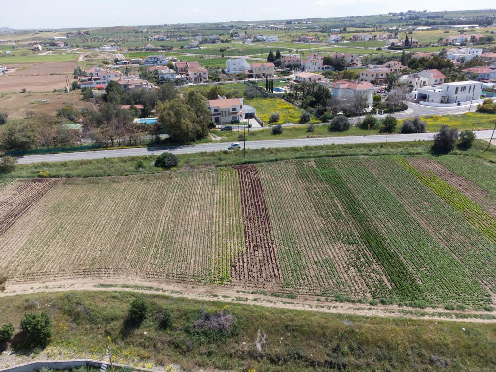 Field-Psimolofou-PR13999