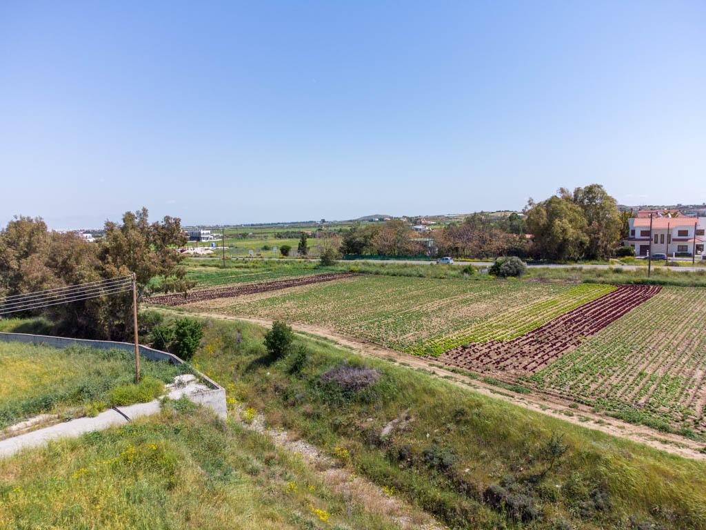 Field-Psimolofou-PR13999