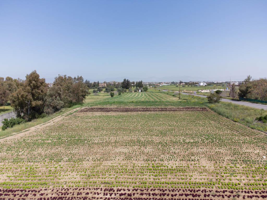 Field-Psimolofou-PR13999