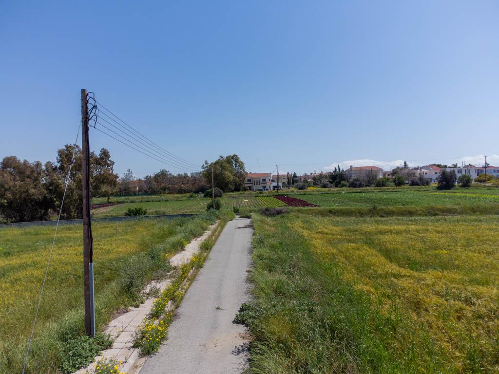 Field-Psimolofou-PR13999