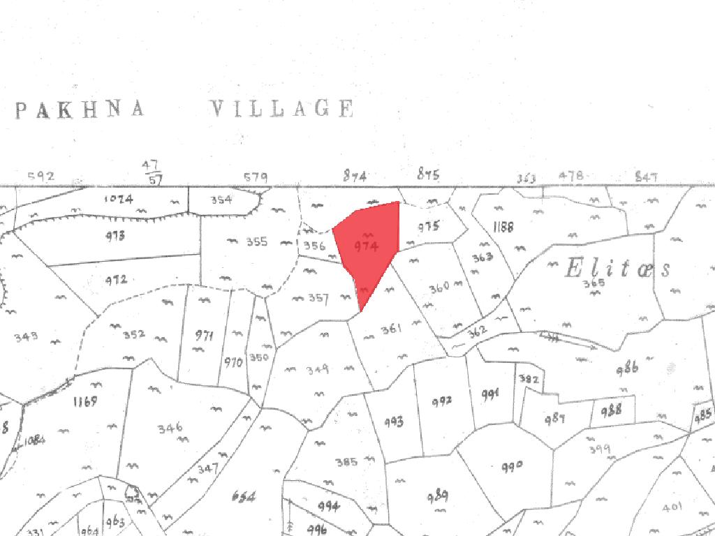 Field-Pachna-PR15505