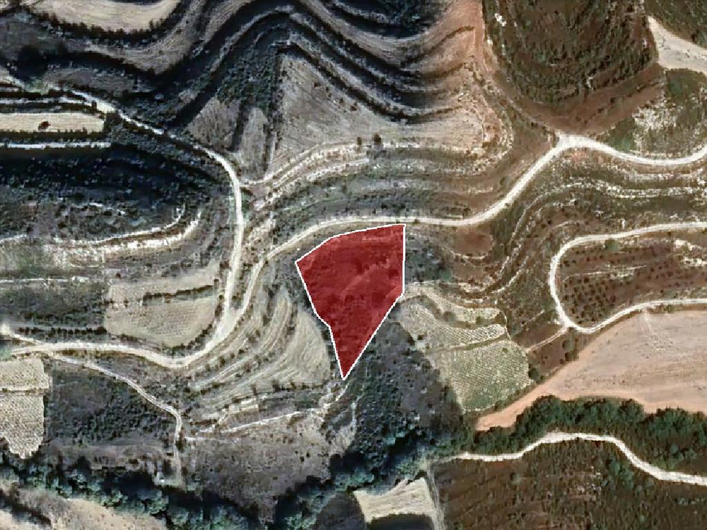 Field-Pachna-PR15505