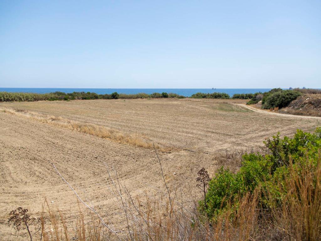 Field-Maroni-PR33609