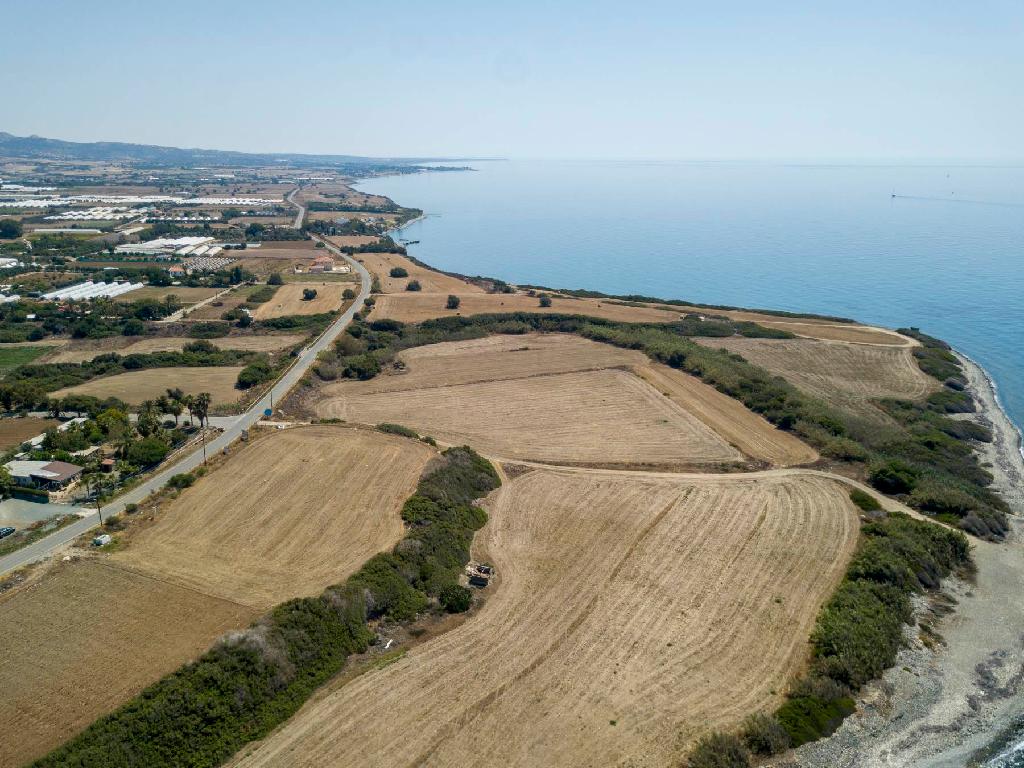 Field-Maroni-PR33609