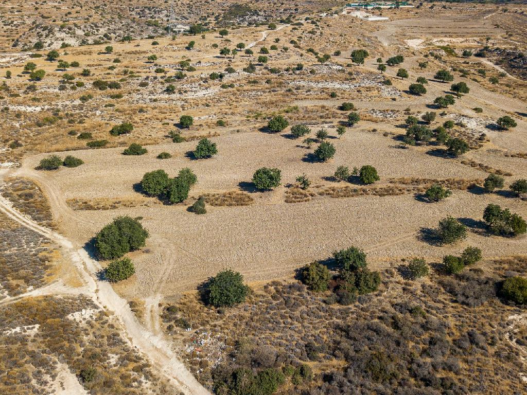 Field-Erimi-PR32931
