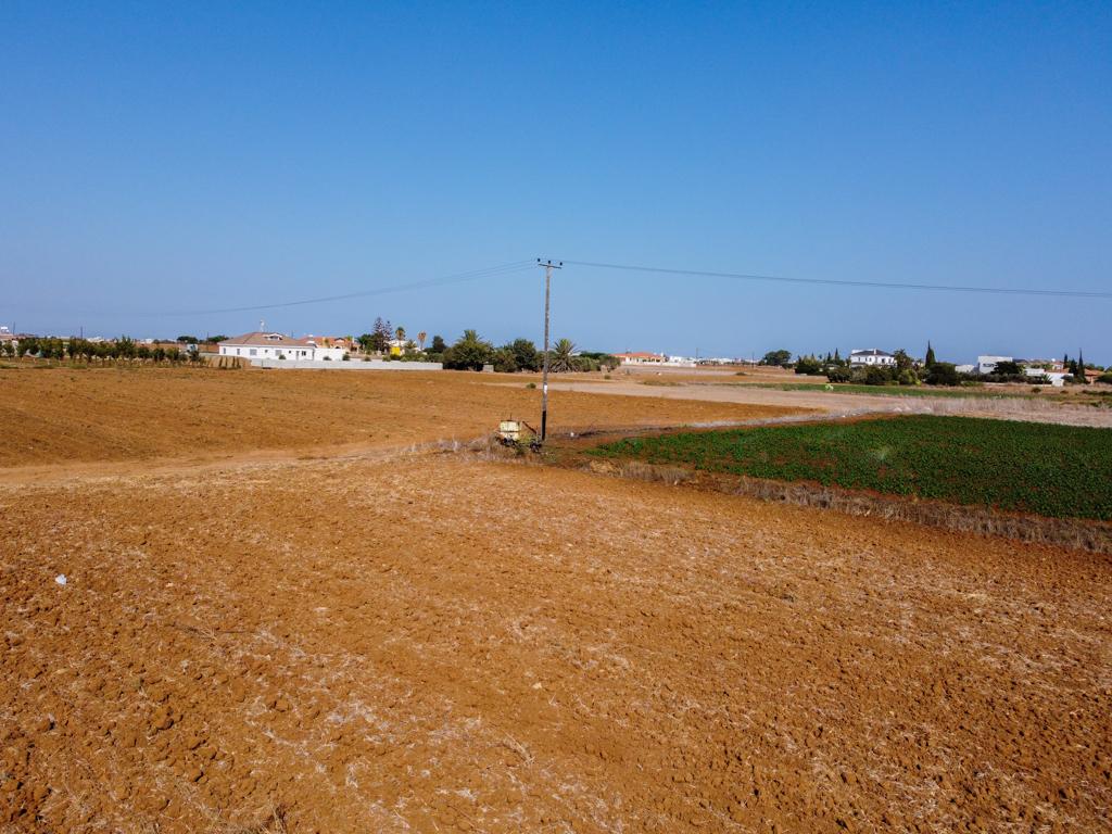Field-Sotira-PR33506