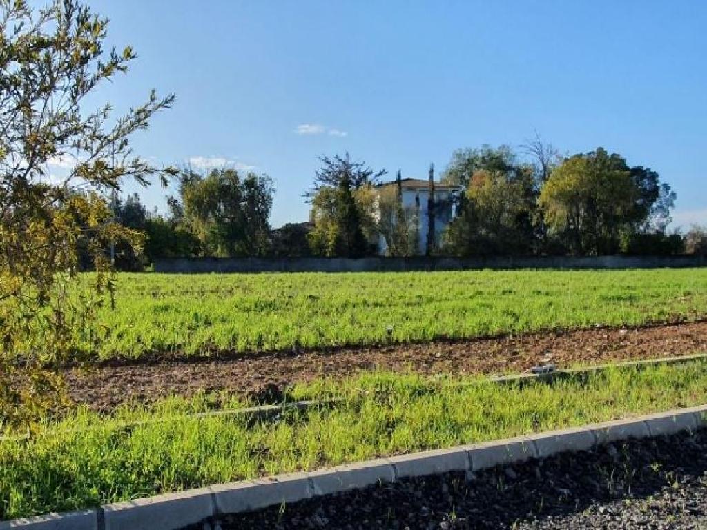 Plot - Latsia, Nicosia