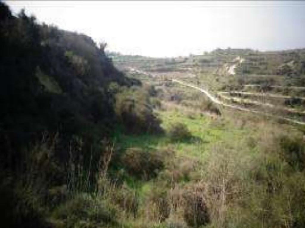 Field-Tsada-PR35893