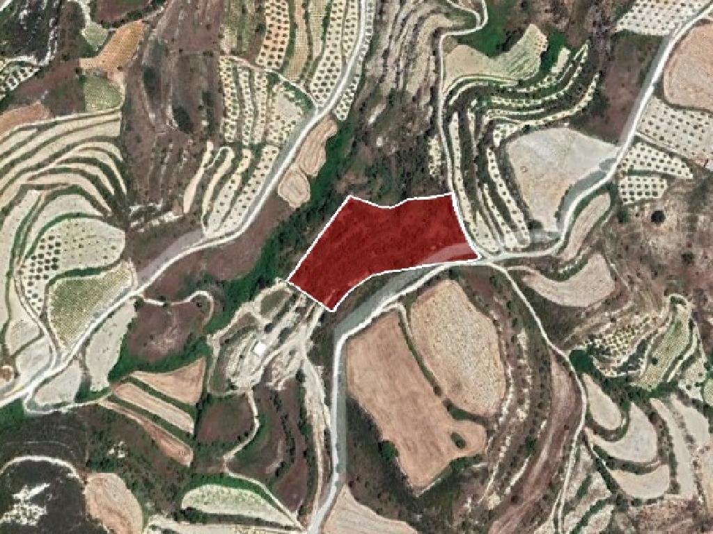 Field-Tsada-PR35893