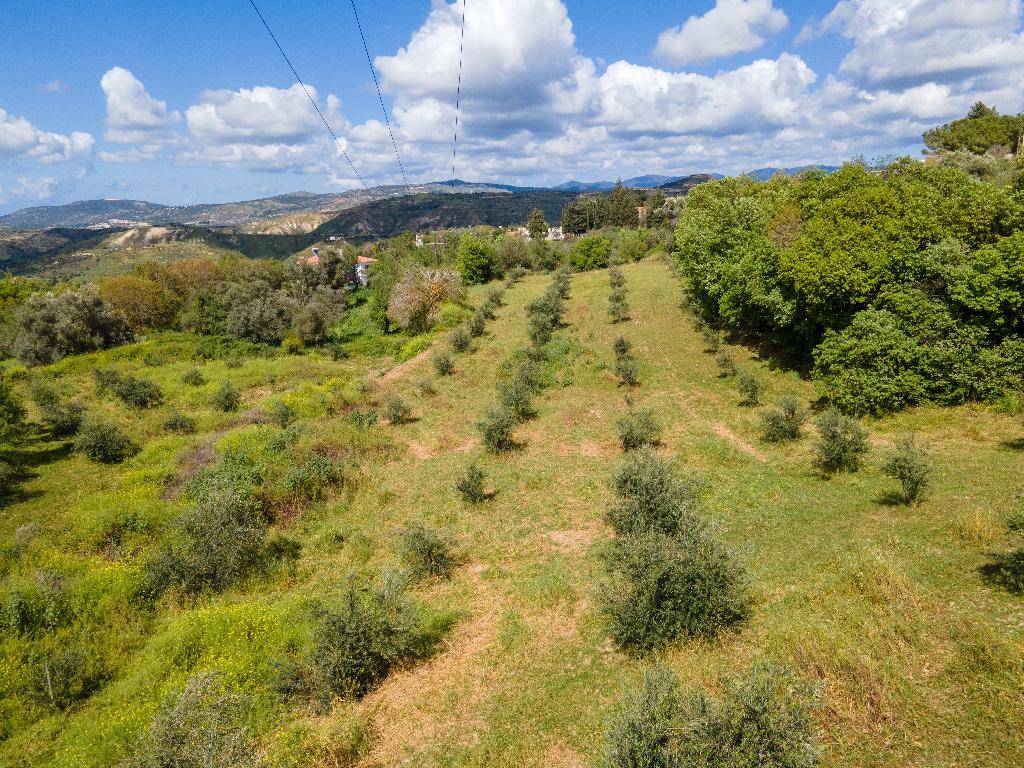 Field-Giolou-PR37224