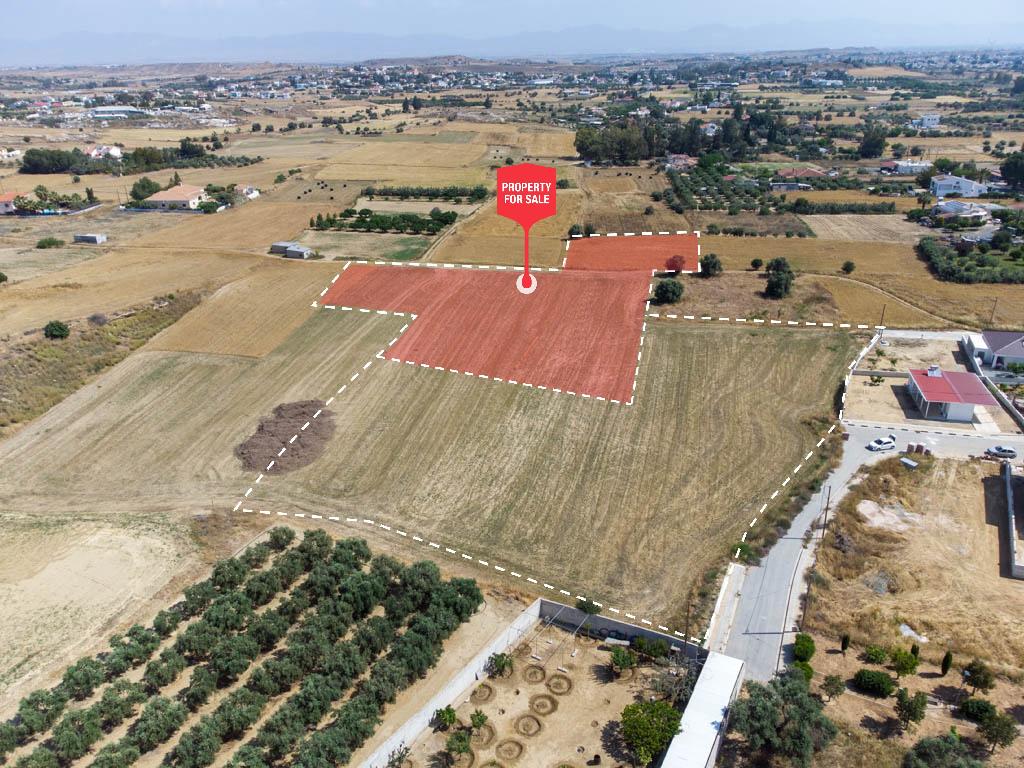 Field (Share) - Ergates, Nicosia