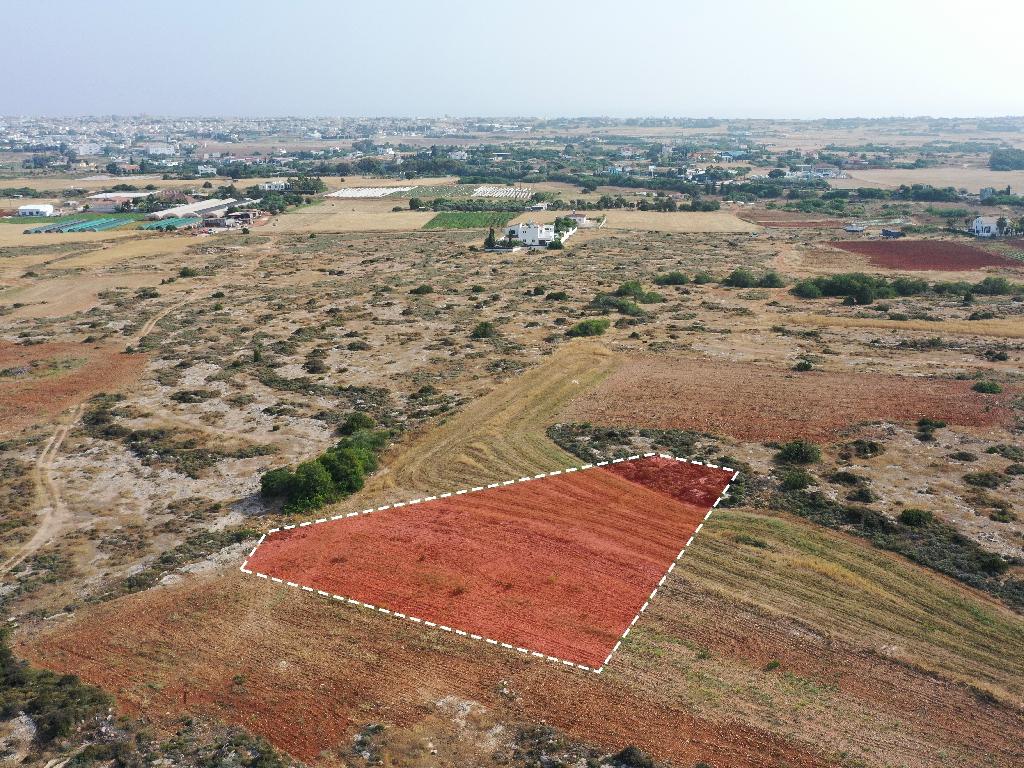 Field - Paralimni, Famagusta