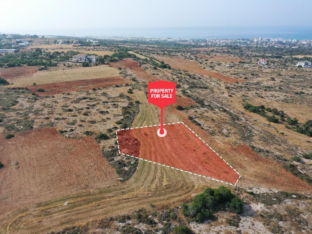 Field - Paralimni, Famagusta