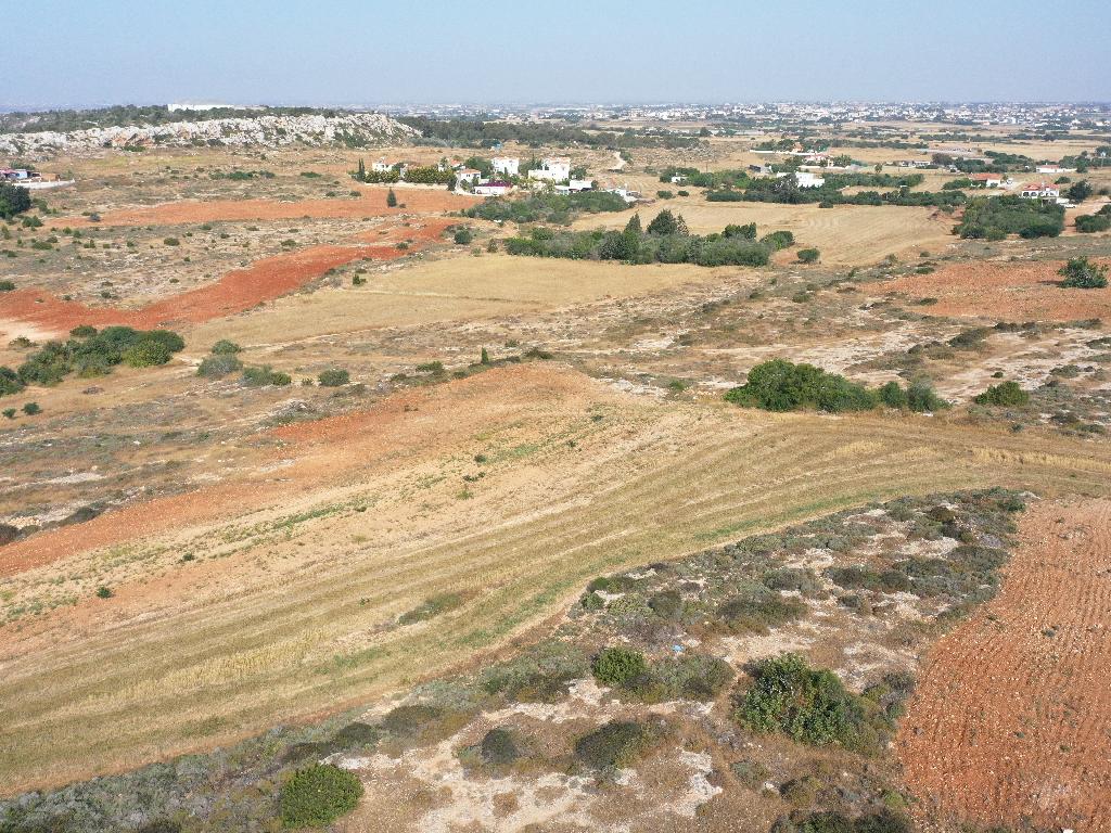 Field - Paralimni, Famagusta