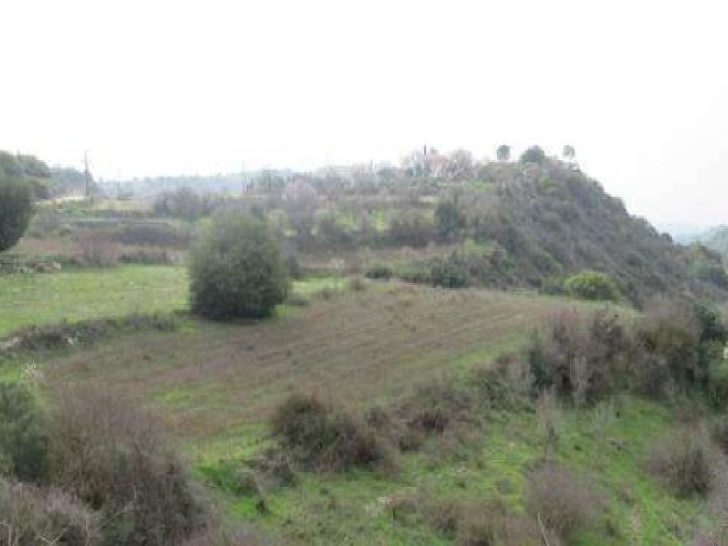Field-Amargeti-PR38894