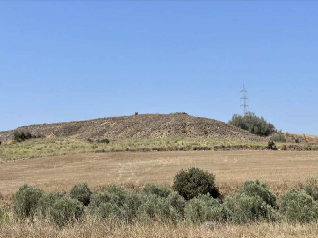 Field-Agioi Trimithias-PR39500