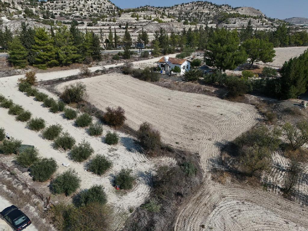 Field-Alambra-PR40461