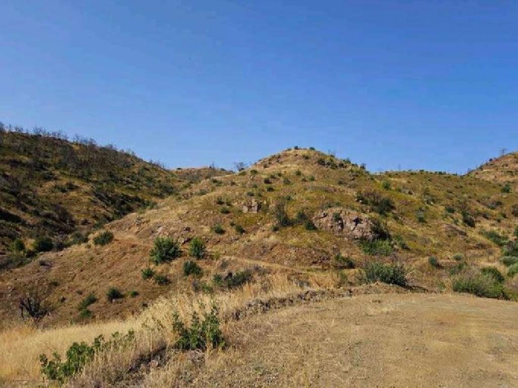Field - Melini,Larnaca