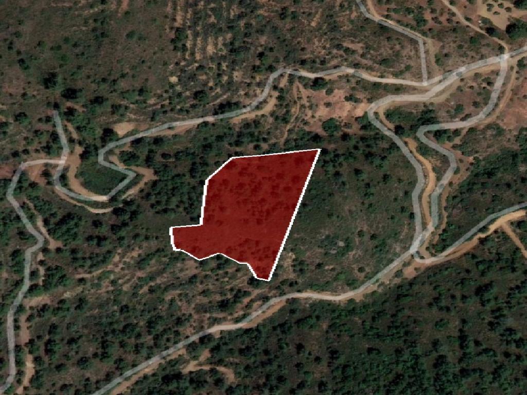 Field - Melini,Larnaca
