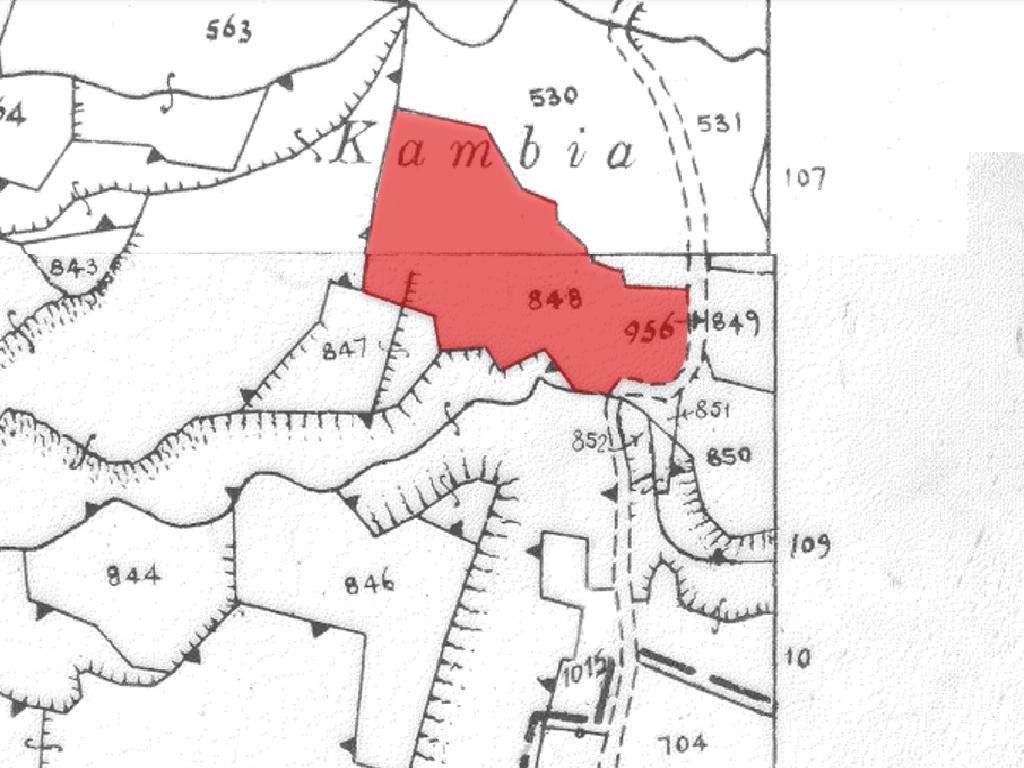 Field-Kato Moni-PR41308