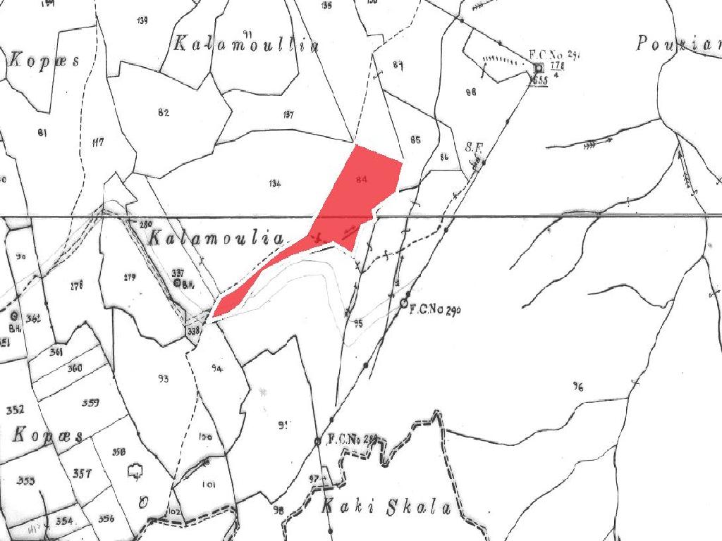 Field-Lysos-PR41667