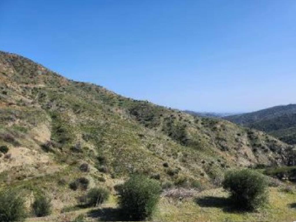 Field-Vavatsinia-PR42027