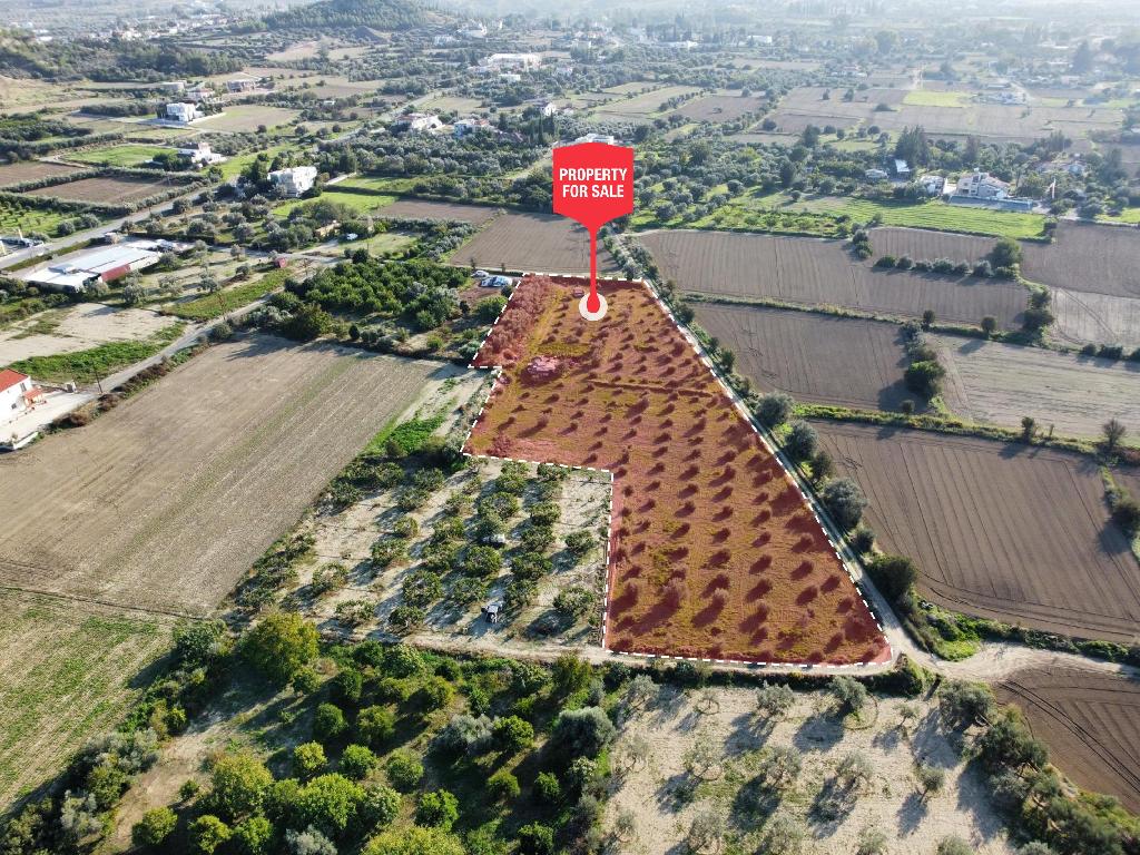 Field – Pera (Oreinis), Nicosia