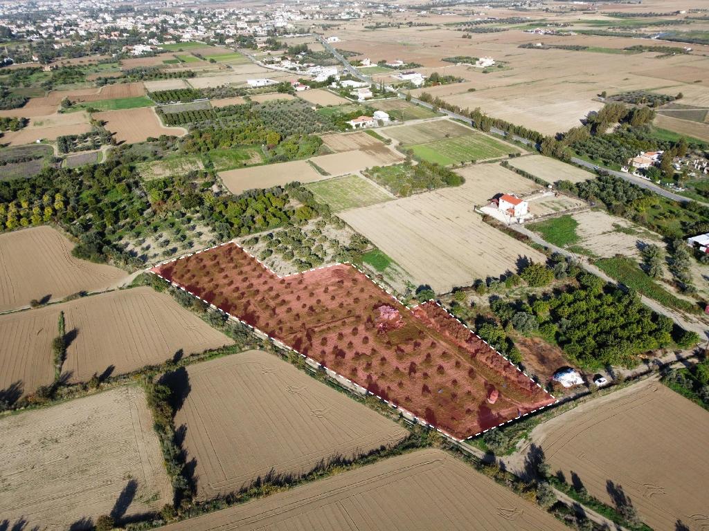 Field – Pera (Oreinis), Nicosia