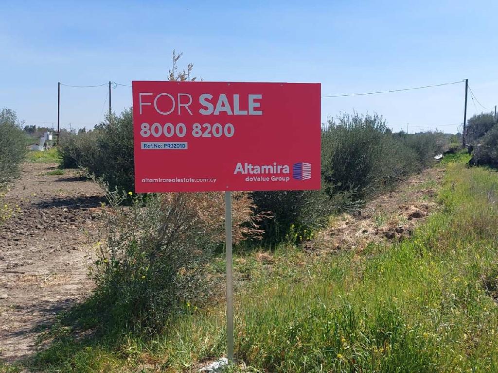 Field – Pera (Oreinis), Nicosia