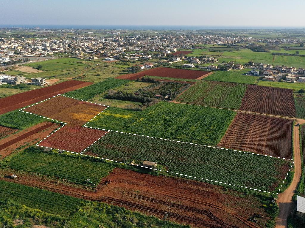 Field (Share) - Liopetri, Famagusta