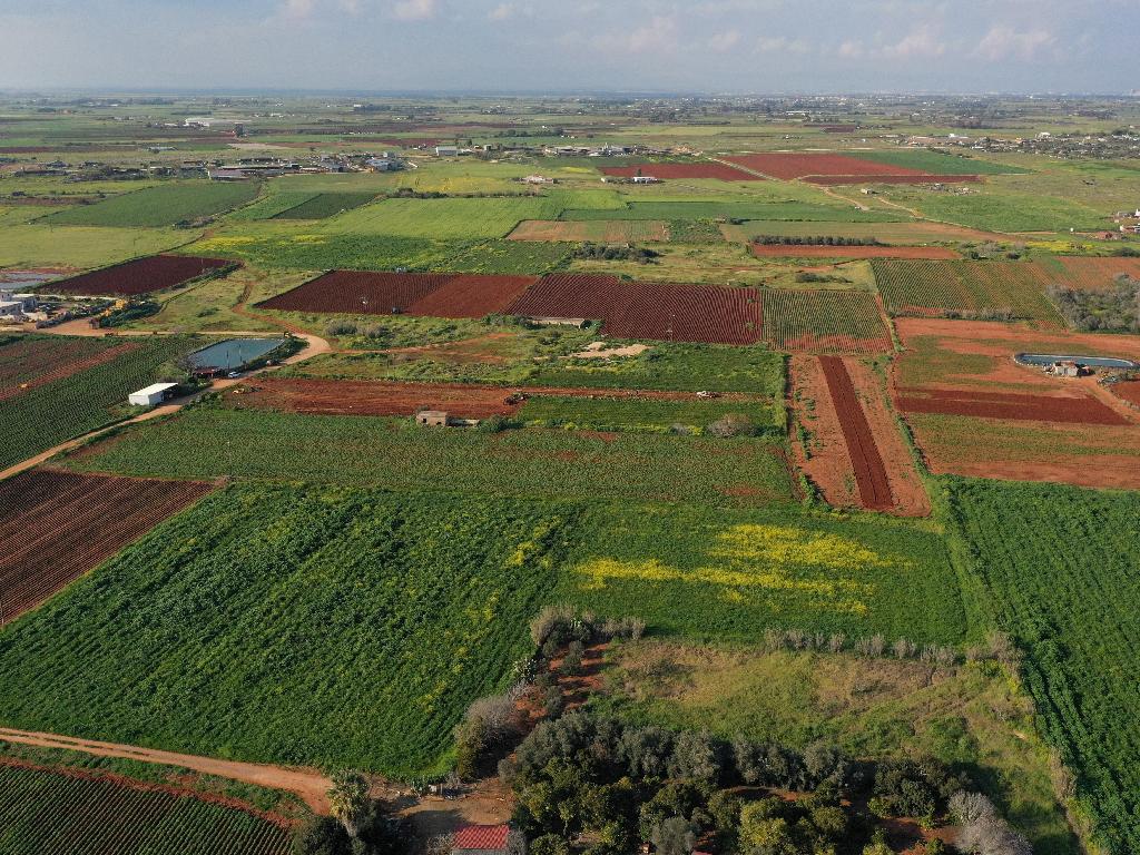 Field (Share) - Liopetri, Famagusta