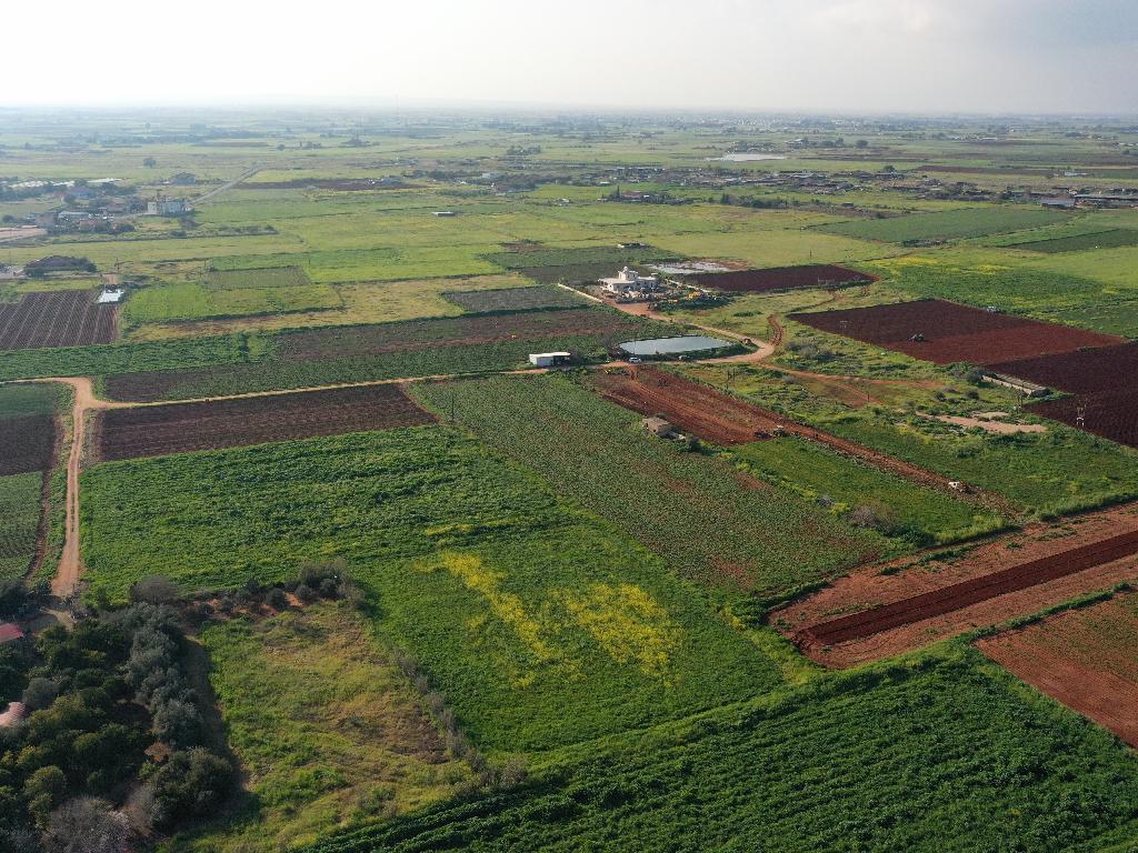 Field (Share) - Liopetri, Famagusta