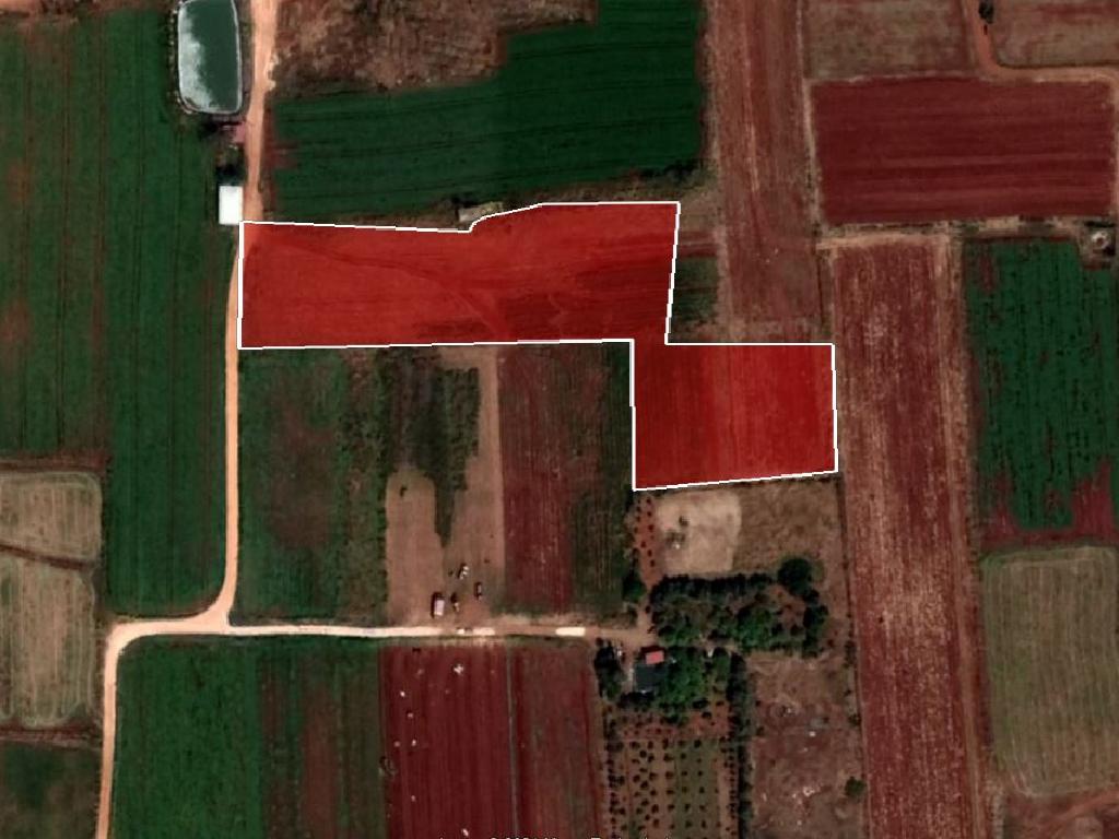 Field-Liopetri-PR32264