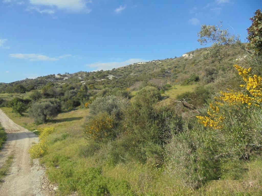 Field-Asgata-PR34067