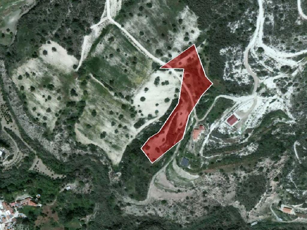 Field-Asgata-PR34067